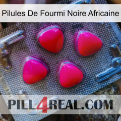 African Black Ant Pills 13